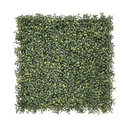 Buxus Donkergroen