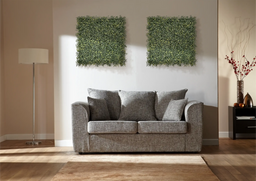 Buxus Donkergroen